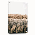 Golden Wheat Field Farmhouse Wall Art - Rustic Country Style Decor