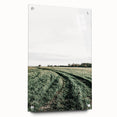 Farmhouse Wall Art of Lush Green Field Path - Rustic Country Style Decor