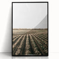 Farmhouse Wall Art of Scenic Crop Fields - Rustic Country Style Decor