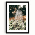 Rustic Farmhouse Wall Art of Watering Plants - Country Style Decor