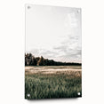 Farmhouse Wall Art of Sunlit Wheat Field - Rustic Country Style Decor