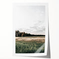 Farmhouse Wall Art of Sunlit Wheat Field - Rustic Country Style Decor