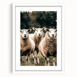 Farmhouse Wall Art of Sheep in Pasture - Rustic Country Style Decor