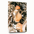 Farmhouse Wall Art - Rustic Farmhouse Decor with Fruit Tree Close-Up