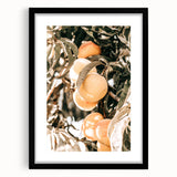 Farmhouse Wall Art - Rustic Farmhouse Decor with Fruit Tree Close-Up