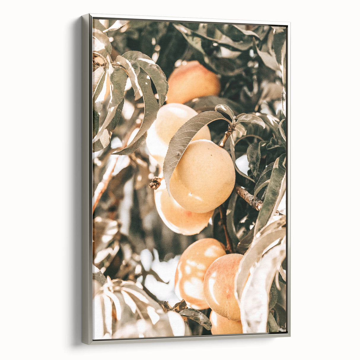 Farmhouse Wall Art - Rustic Farmhouse Decor with Fruit Tree Close-Up