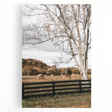 Farmhouse Wall Art – Countryside Hay Bales Field Print for Rustic Decor