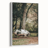 Farmhouse Wall Art - Rustic Pig in Wooded Path with Country Farm Charm