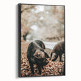 Farmhouse Wall Art - Black Pig in Rustic Setting with Country Charm