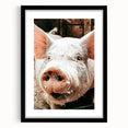 Farmhouse Wall Art - Playful Pig Close-Up with Rustic Farmhouse Charm