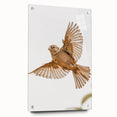 Farmhouse Wall Art | Rustic Sparrow in Flight | Vintage Country Style Print