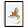 Farmhouse Wall Art | Rustic Sparrow in Flight | Vintage Country Style Print