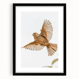 Farmhouse Wall Art | Rustic Sparrow in Flight | Vintage Country Style Print