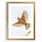Farmhouse Wall Art | Rustic Sparrow in Flight | Vintage Country Style Print