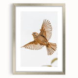Farmhouse Wall Art | Rustic Sparrow in Flight | Vintage Country Style Print