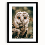 Barn Owl Wall Art – Rustic Farmhouse Nature-Inspired Decor Print