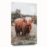 Rustic Farmhouse Wall Art - Highland Cow Country Style Decor Print