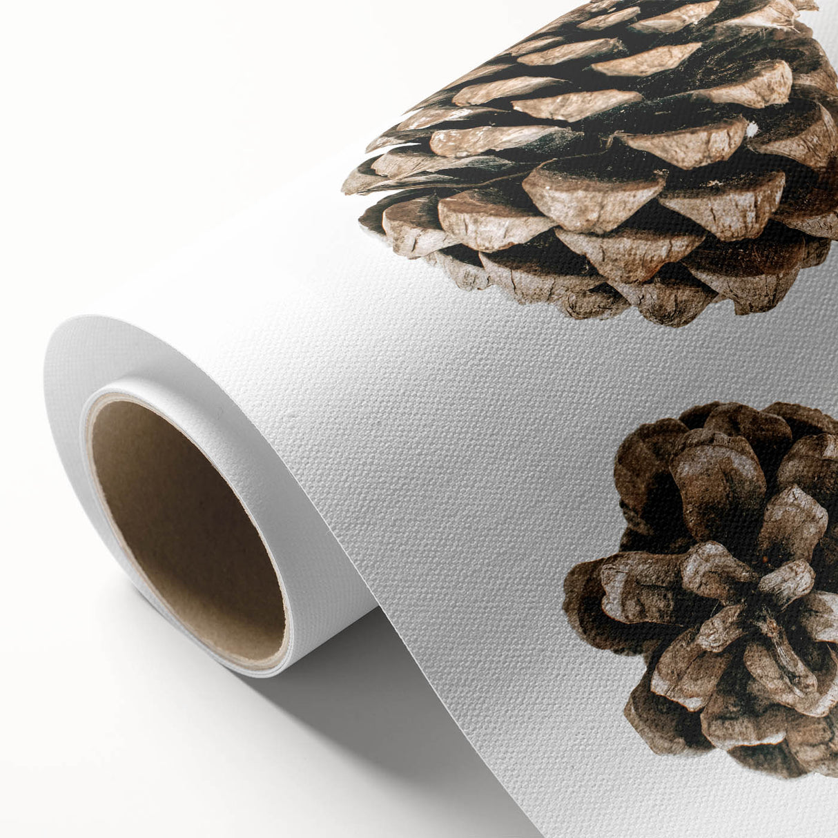 Rustic Farmhouse Wall Art - Pine Cone and Natural Branches Print