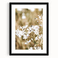 Farmhouse Wall Art - Soft White Daisies in Rustic Meadow Print