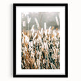 Farmhouse Wall Art - Rustic Wheat Field in Soft Focus Print
