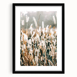 Farmhouse Wall Art - Rustic Wheat Field in Soft Focus Print