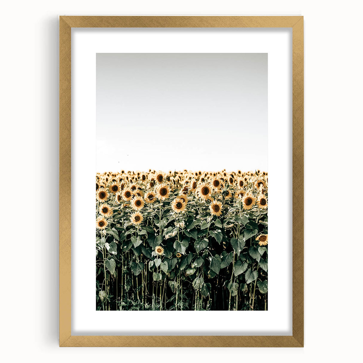 Farmhouse Wall Art - Vibrant Sunflower Field for Rustic Country Decor