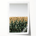 Farmhouse Wall Art - Vibrant Sunflower Field for Rustic Country Decor