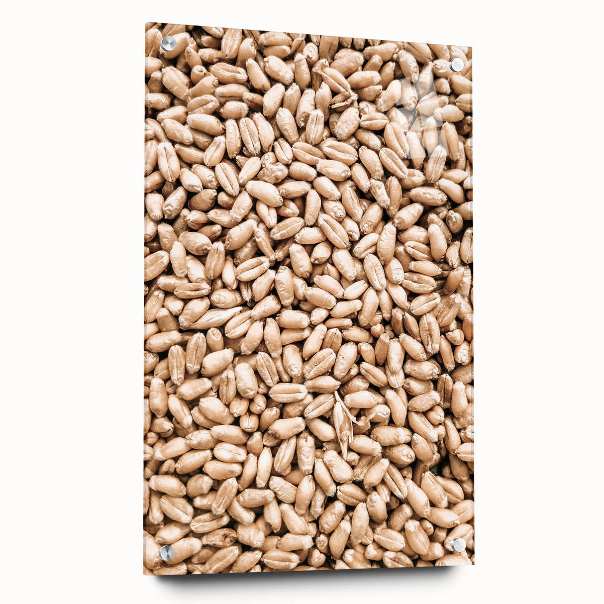 Farmhouse Wall Art - Wheat Grain Texture for Rustic Country Decor