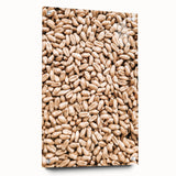 Farmhouse Wall Art - Wheat Grain Texture for Rustic Country Decor