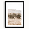 Farmhouse Wall Art - Cows Grazing in Pasture for Rustic Country Decor