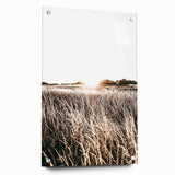 Farmhouse Wall Art: Golden Sunset Over Wheat Field Country Décor