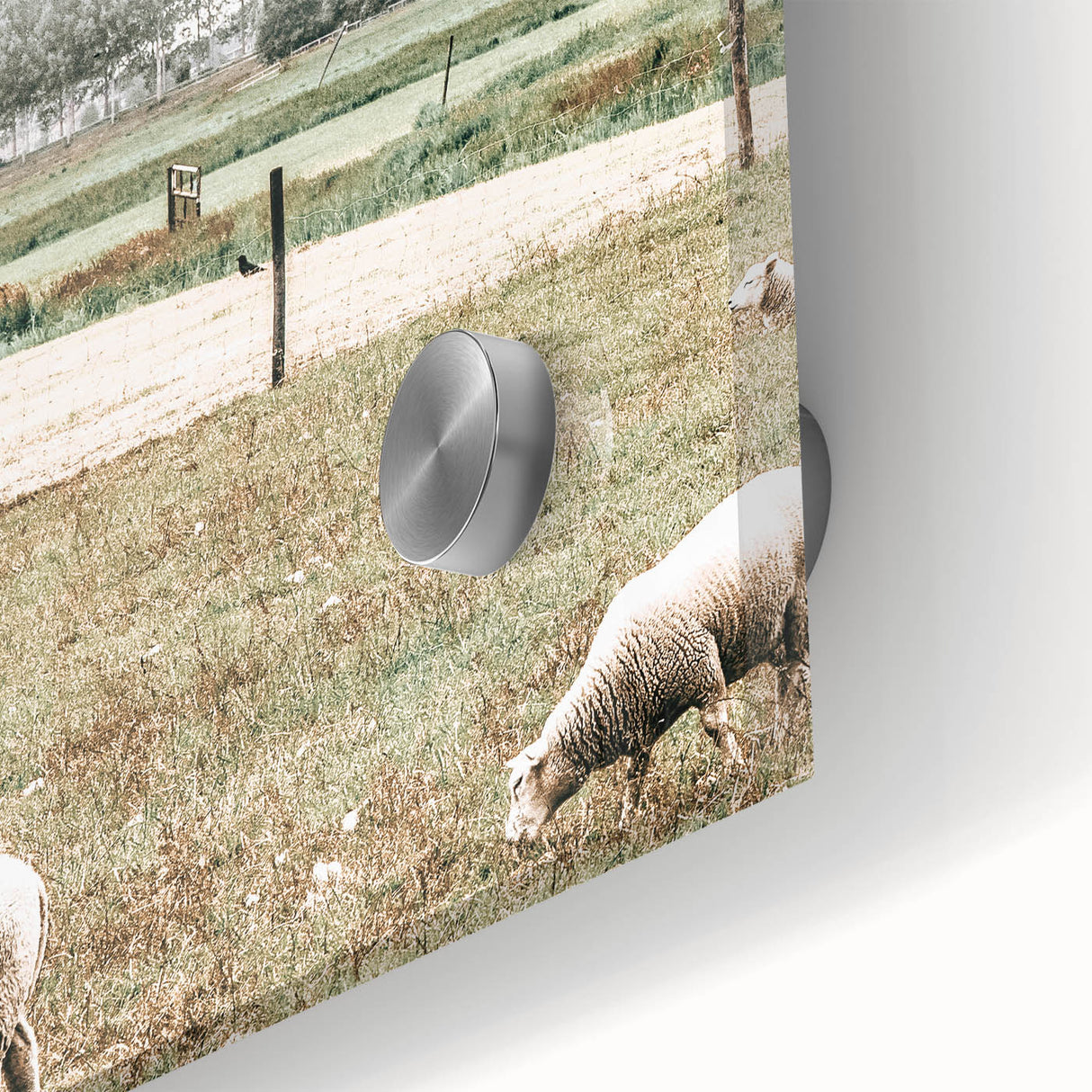Farmhouse Wall Art: Rustic Country Style with Grazing Sheep Scene