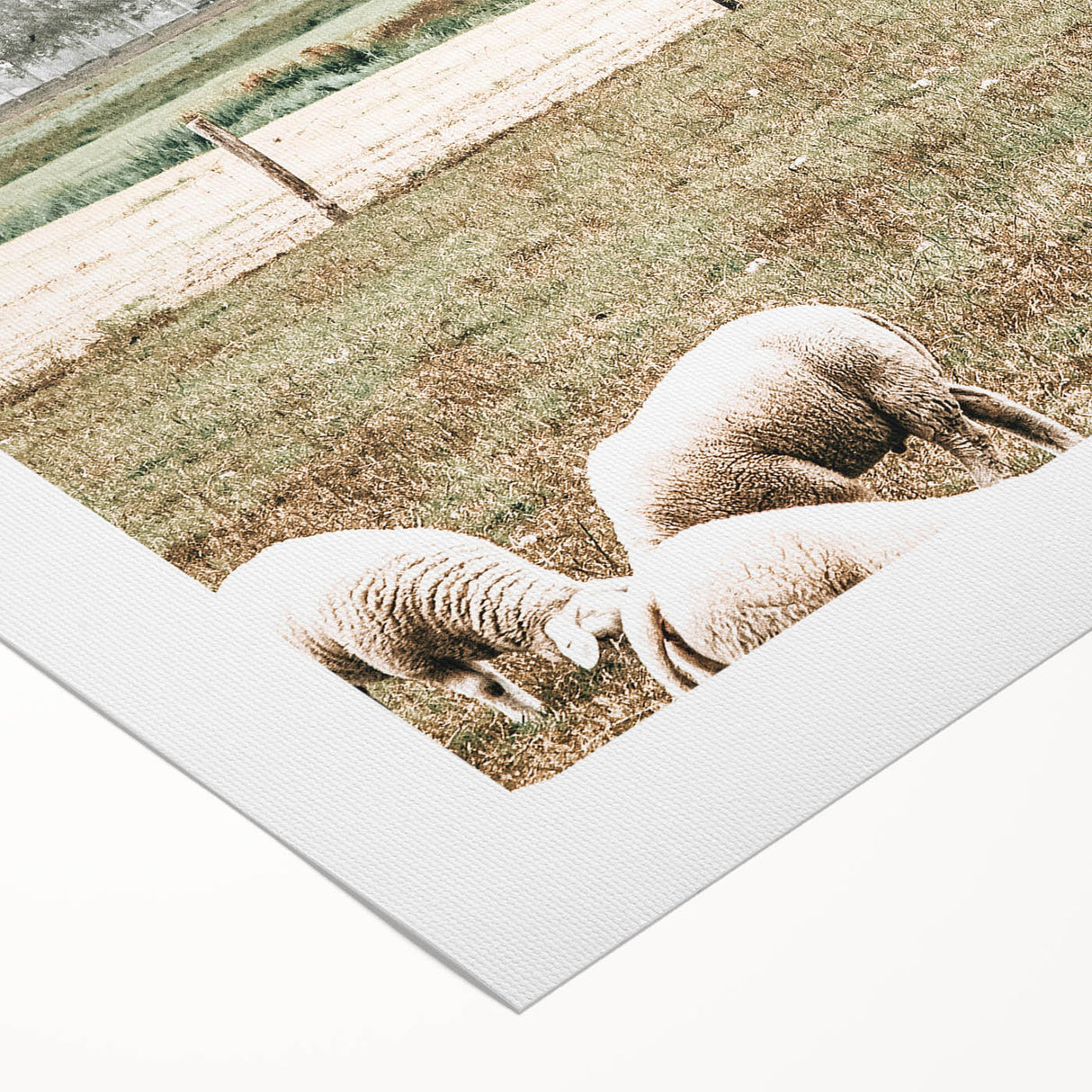 Farmhouse Wall Art: Rustic Country Style with Grazing Sheep Scene