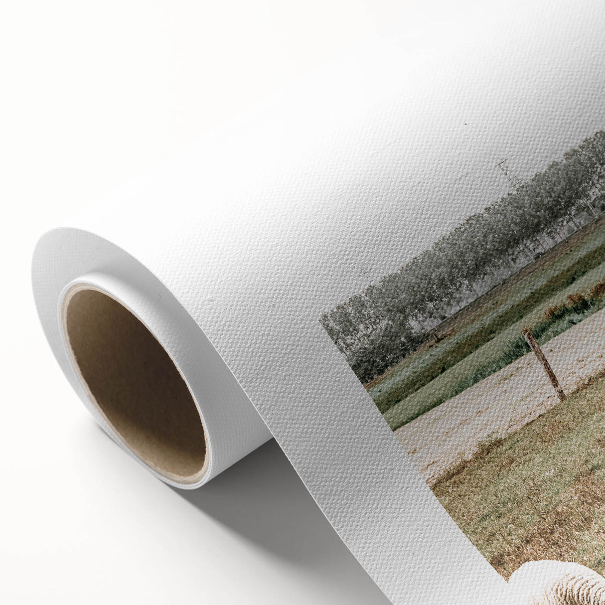 Farmhouse Wall Art: Rustic Country Style with Grazing Sheep Scene