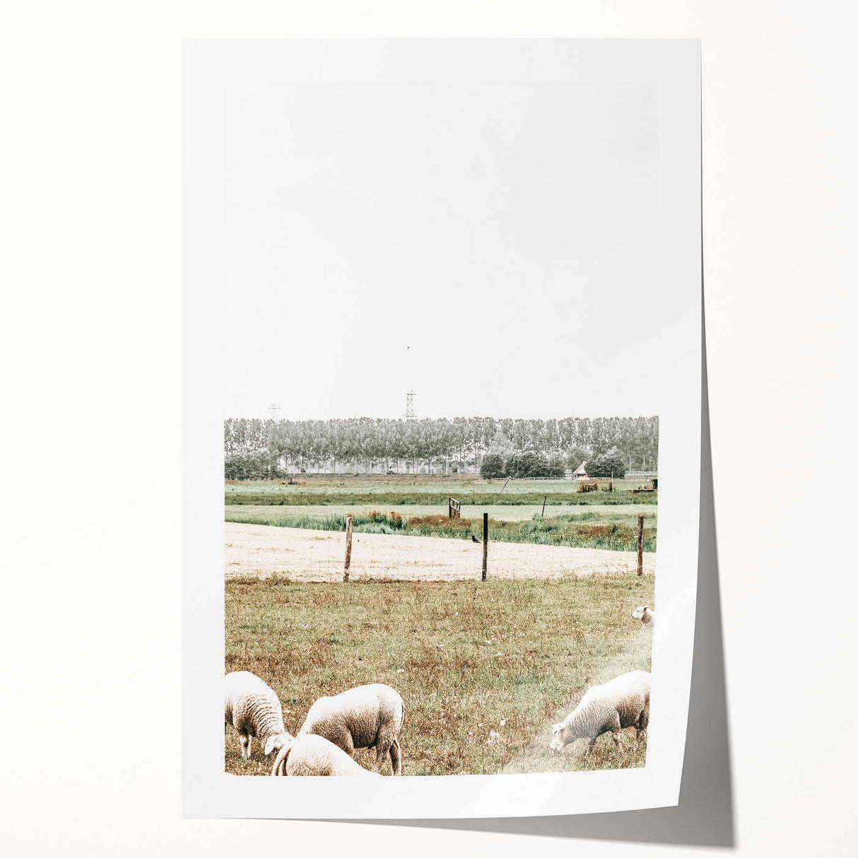 Farmhouse Wall Art: Rustic Country Style with Grazing Sheep Scene