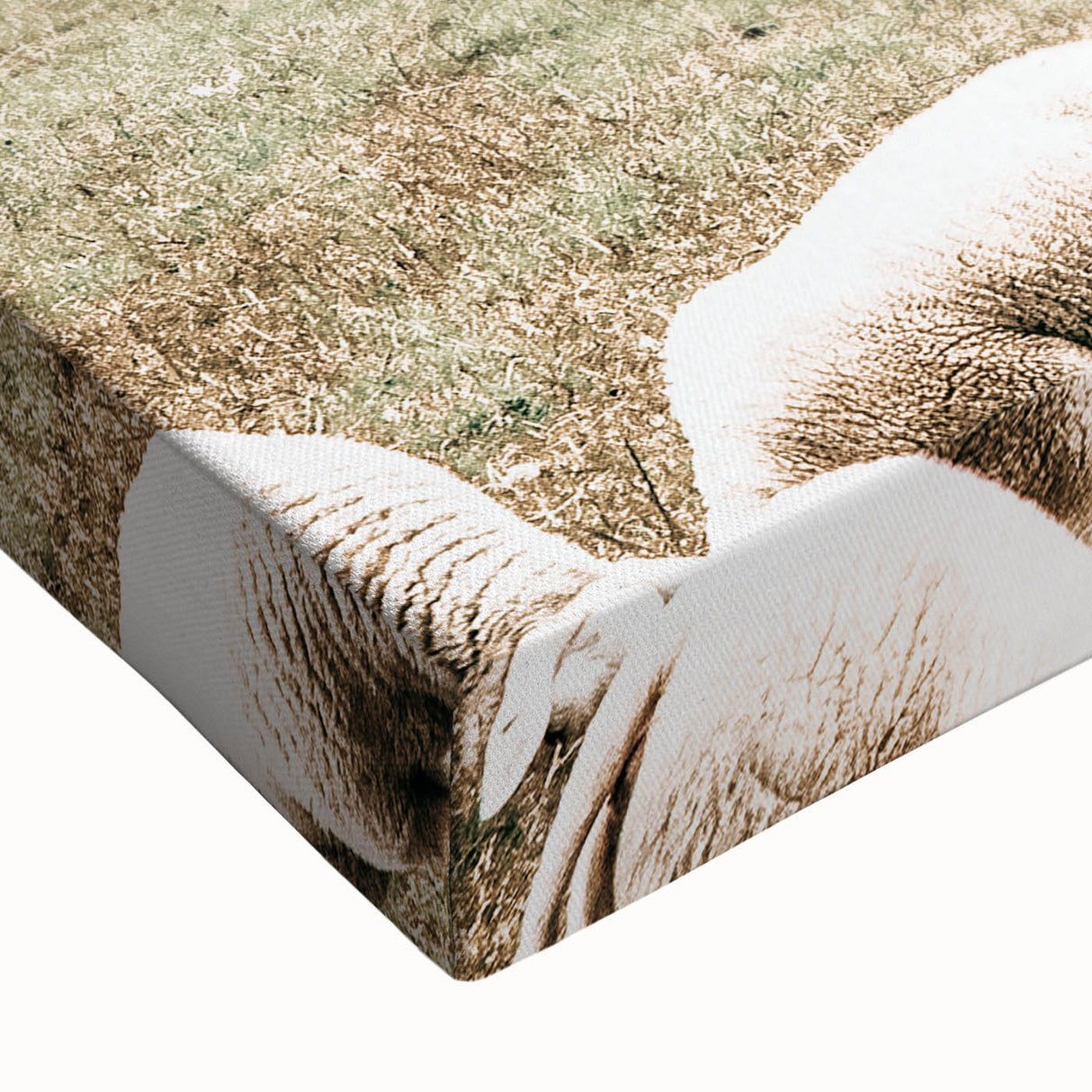 Farmhouse Wall Art: Rustic Country Style with Grazing Sheep Scene