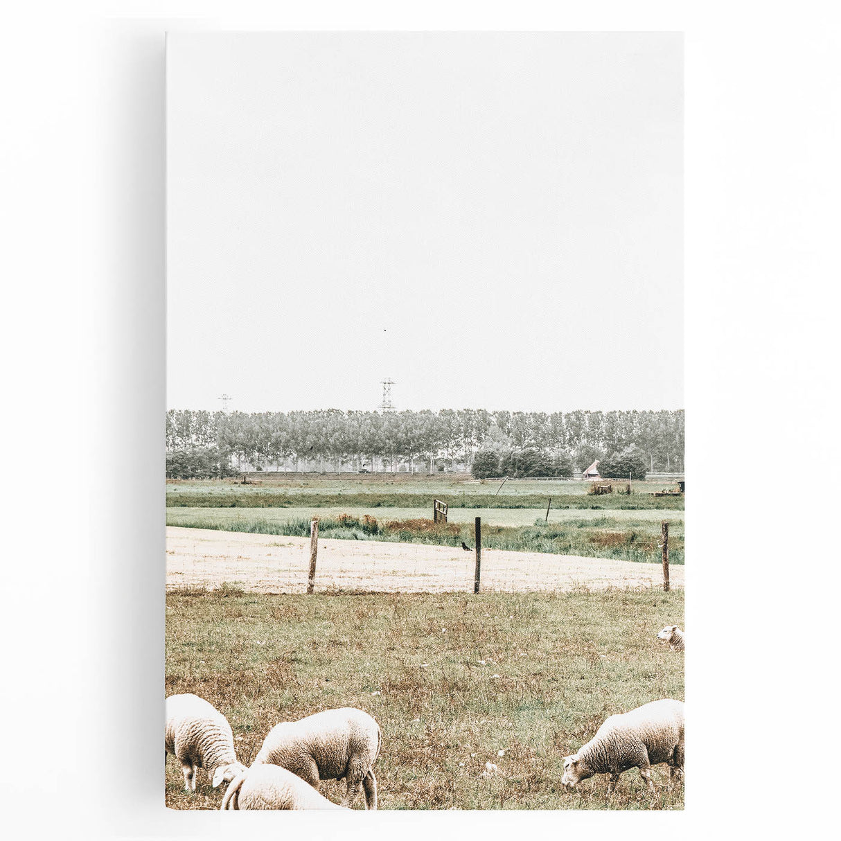 Farmhouse Wall Art: Rustic Country Style with Grazing Sheep Scene