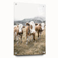 Farmhouse Wall Art: Pastoral Cows in Meadow for Rustic Farmhouse Decor