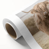 Farmhouse Wall Art: Majestic Highland Cow for Rustic Country Decor