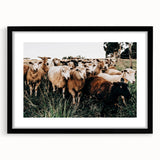 Farmhouse Sheep Wall Art – Rustic Country Style Decor for Home