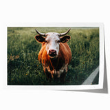 Farmhouse Cow Wall Art – Rustic Country Style Decor for Home