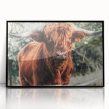 Rustic Highland Cow Wall Art – Farmhouse Country Style Decor