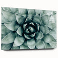 Farmhouse Succulent Wall Art – Rustic Botanical Decor for Home