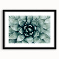 Farmhouse Succulent Wall Art – Rustic Botanical Decor for Home