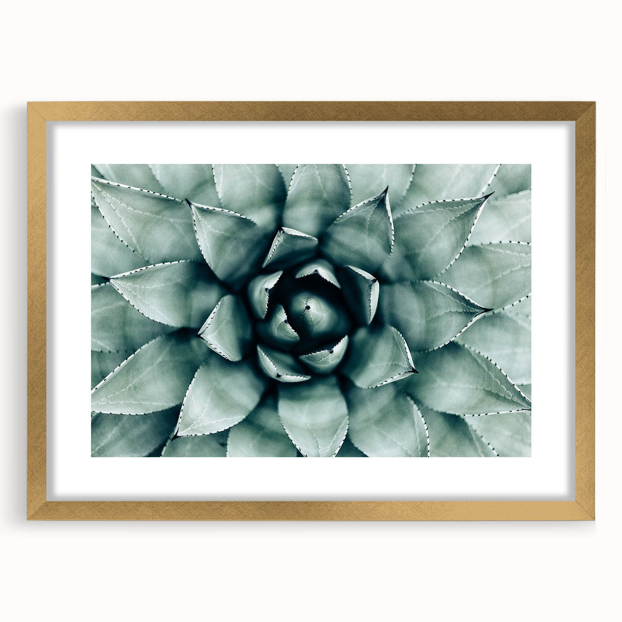 Farmhouse Succulent Wall Art – Rustic Botanical Decor for Home