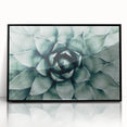 Farmhouse Succulent Wall Art – Rustic Botanical Decor for Home
