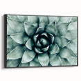 Farmhouse Succulent Wall Art – Rustic Botanical Decor for Home