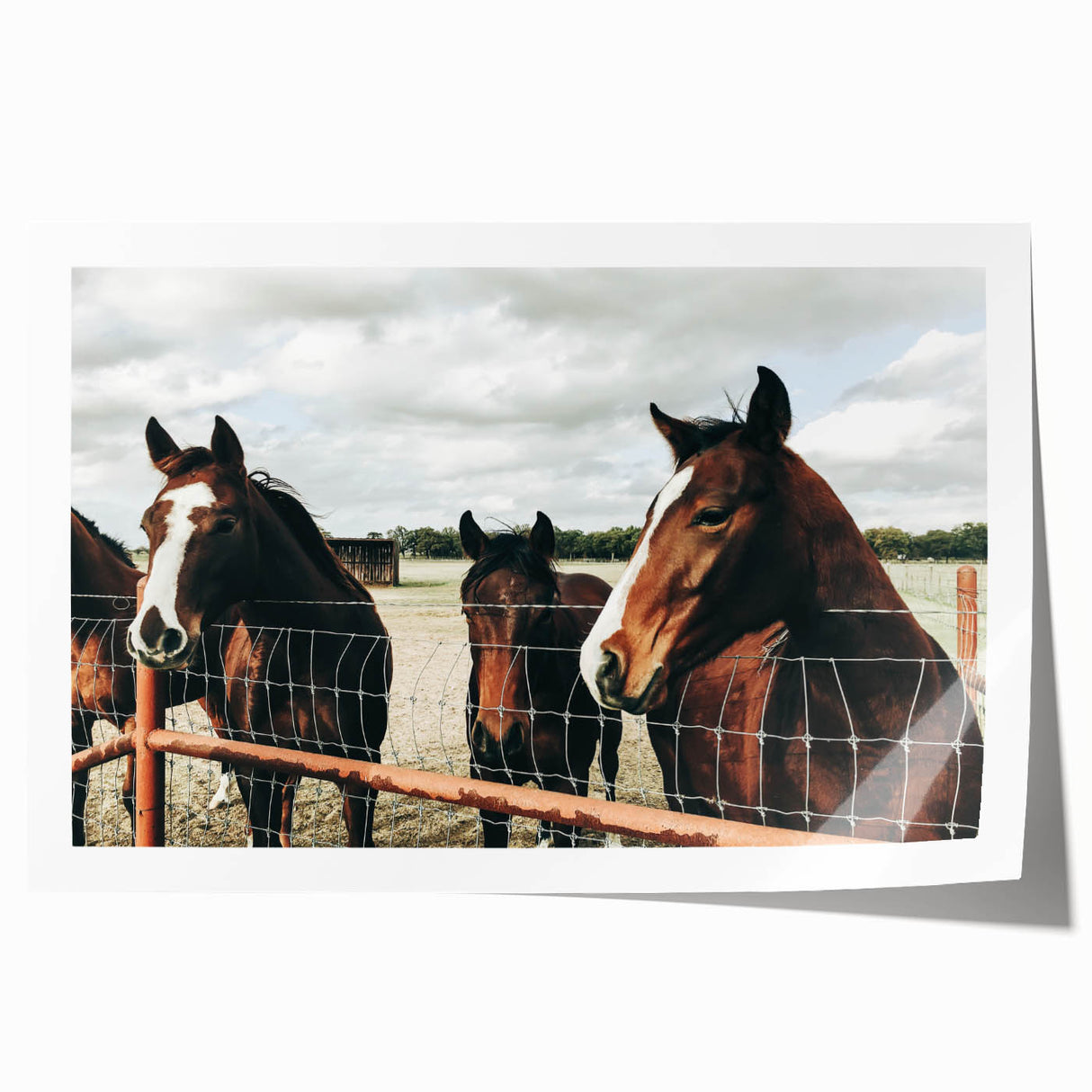 Farmhouse Wall Art: Rustic Charm with Horses - Country Style Decor
