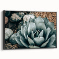 Agave Plant Farmhouse Wall Art – Rustic Country Style Decor Print