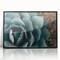 Agave Plant Close-Up Farmhouse Wall Art – Rustic Country Style Decor